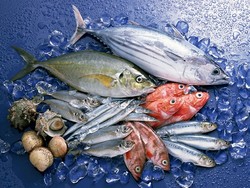Рыба и морепродукты — вкусный рецепт долгой жизни