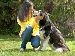 Как понять язык тела собак?