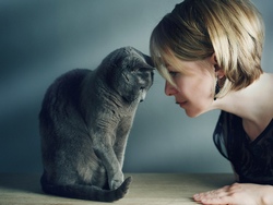 Язык жестов или как понять кошек