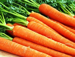 Как выбрать морковь при покупке?