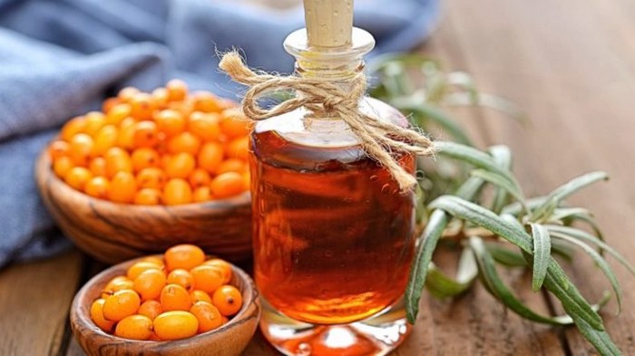 Облепиховое масло – свойства, народные рецепты и способы заготовки
