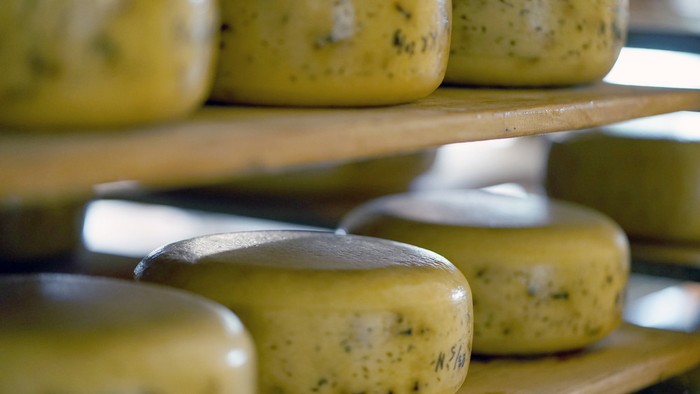 Как выбрать качественный голубой сыр