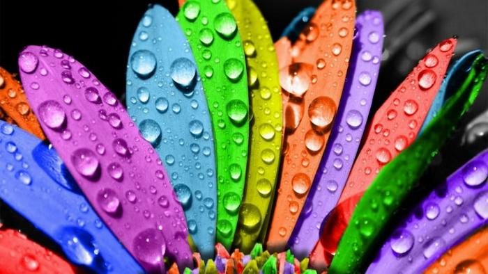 Как цвета радуги действуют на психику человека?