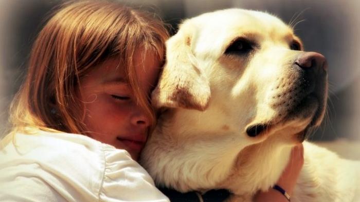 4 важных урока, которым могут научить вас собаки