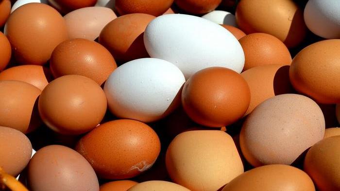 Исследования показали, что будет с вашим телом, если съедать по 2 яйца в день