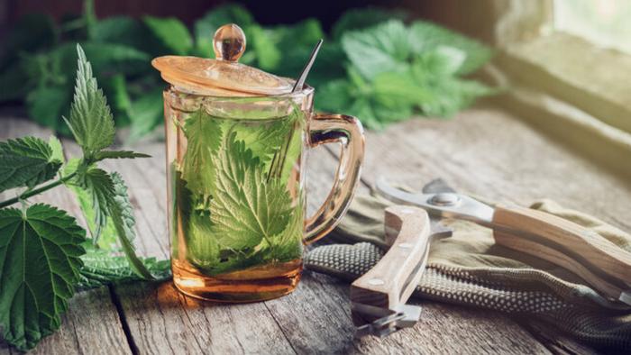Ученые назвали самый полезный травяной чай