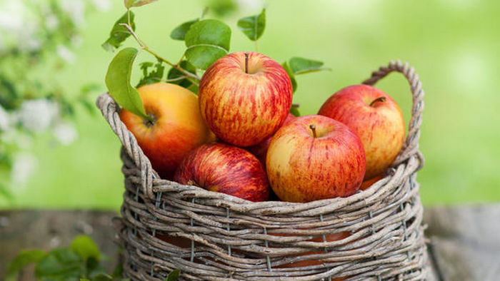 Заготавливаем яблоки на зиму: лучшие способы
