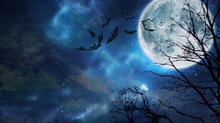 Голубая Луна: особенности полнолуния на Хэллоуин 31 октября