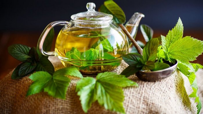 Рецепт чая из листьев смородины