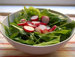 Простой салат из шпината и редиски (рецепт)