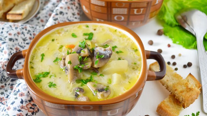 Рецепт сырного супа с грибами и мясным фарше
