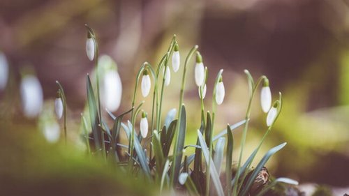 1 марта: какой сегодня праздник, приметы дня и что нельзя делать