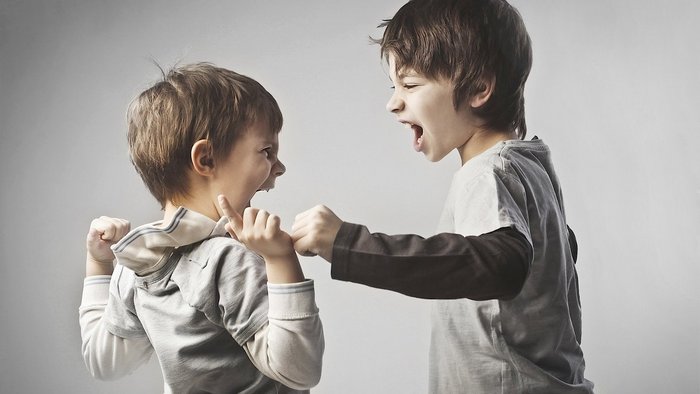 Почему нельзя вмешиваться в детские конфликты