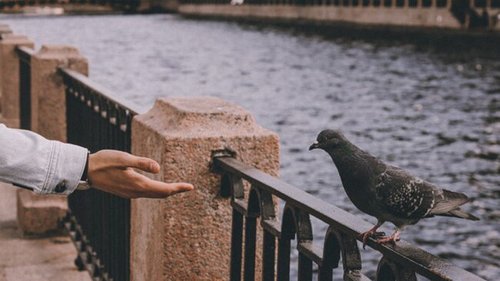 25 марта: какой сегодня праздник, приметы дня и что нельзя делать