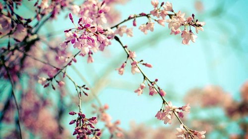 День весеннего равноденствия-2021: что ни в коем случае нельзя делать