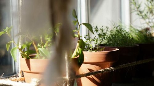 18 марта: какой сегодня праздник, приметы дня и что нельзя делать