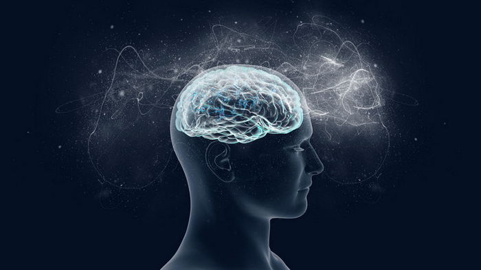 6 заблуждений о человеческом мозге