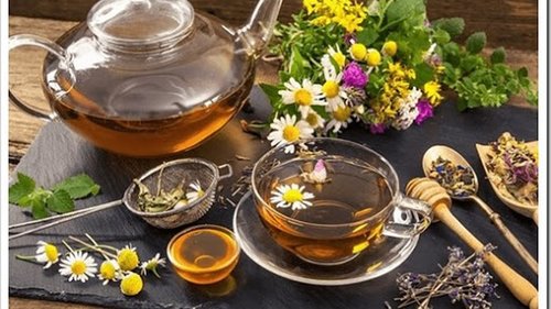 Почему некоторые травяные чаи следует употреблять умеренно