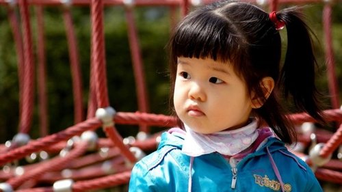 В каких домах живут и процветают обычные корейцы