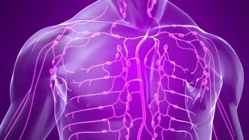 Лучшие советы по очищению лимфатической системы