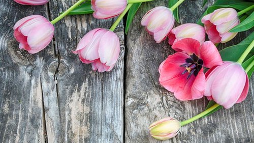 Праздники 6 мая 2021: события, приметы, запреты