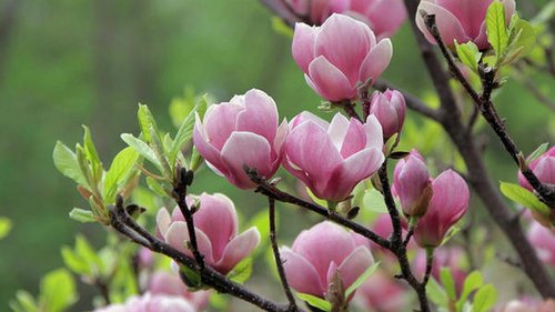 Праздники 14 мая: факты, традиции, приметы