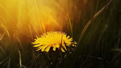 Гороскоп на неделю: для всех знаков зодиака