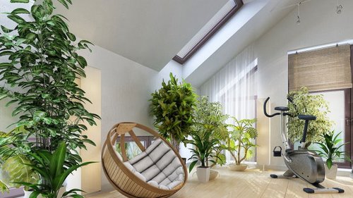 Лучшие растения для очистки воздуха в помещении