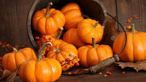 Тыква: польза для здоровья