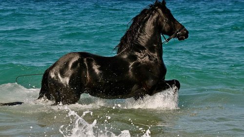 Праздники 20 мая 2021: история, запреты, традиции