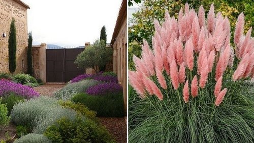 Какие клумбы с травами посадить на даче в сентябре