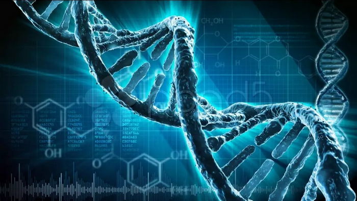 9 интересных фактов о том, как гены влияют на характер и судьбу человека