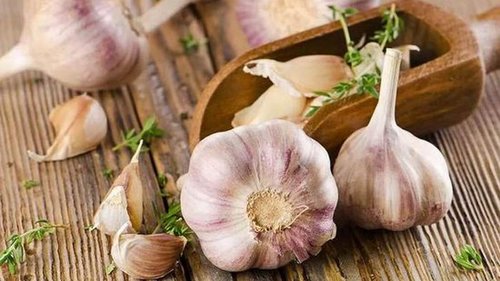 Топ-5 лучших природных антибиотиков