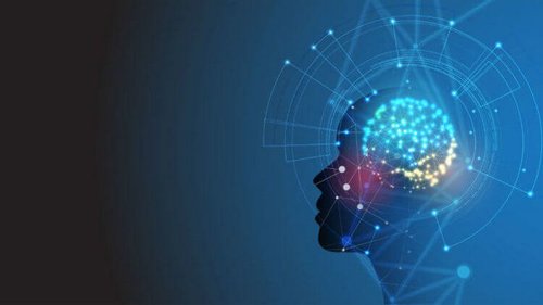 Неожиданные признаки высокого интеллекта