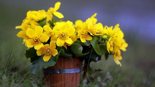 Праздники 24 мая 2021: традиции, обряды, приметы