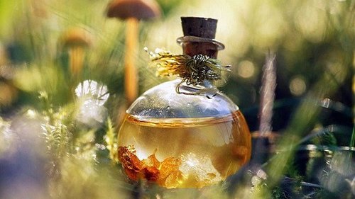 5 запахов, которые способны исцелять