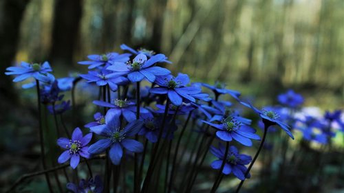 Гороскоп на неделю: для всех знаков зодиака