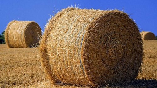 Все хотят на чужом горбу в рай въехать, зову родственников стелить солому на участке