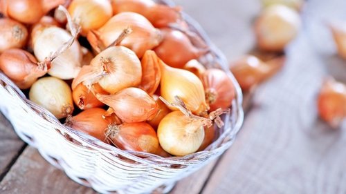 Нетерпеливые дачники не сажают лук-севок до тех пор, пока не зацветут тюльпаны