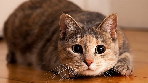 Праздники 22 июня 2021: именины, традиции, приметы