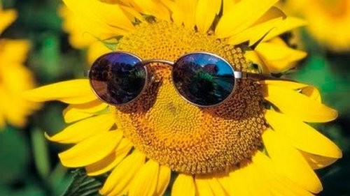 Гороскоп на неделю: для всех знаков зодиака