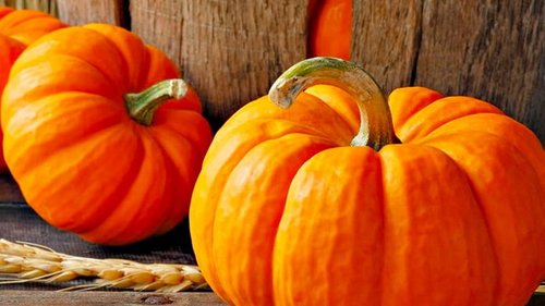 Лучшие сорты тыквы: огромные, вкусные, декоративные