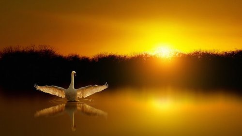 5 признаков того, что вас воспитала токсичная мать