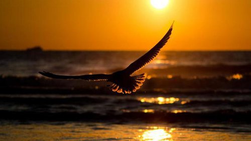 Лишний человек в Вашей жизни — 6 признаков