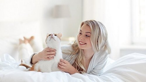 Как выжить с кошкой, если вы аллергик? 5 советов, которые спасут вас обеих