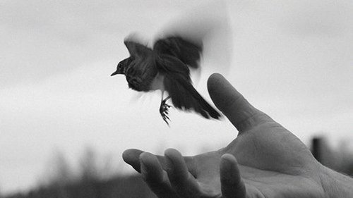 Попали в тупик жизненных ситуаций? Вспомните об этих 8 вещах!