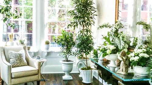 Как правильно расставить цветы на подоконнике