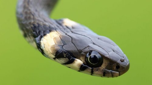 Праздники 16 июля 2021: история, традиции, именины