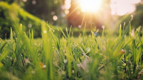 Гороскоп на неделю: для всех знаков зодиака