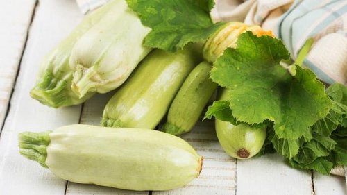 Недооцененный овощ. Чем полезны кабачки